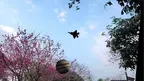 FlyMe Remote control airplane Dogfight screenshot 4