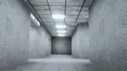 Lethal Ape Old screenshot 1