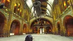 3D Scan Explorer: VR Environments screenshot 4
