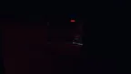 Feared Chimp screenshot 4