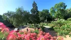 VR Relaxing – Over the Silk Tree Bloom screenshot 2
