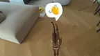 HoloPets: AR Pet Simulator screenshot 3