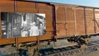 The Eva Holocaust Experience - Historic Tour of the Auschwitz Concentration Camp screenshot 3
