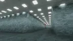 Ape Gorillas screenshot 2