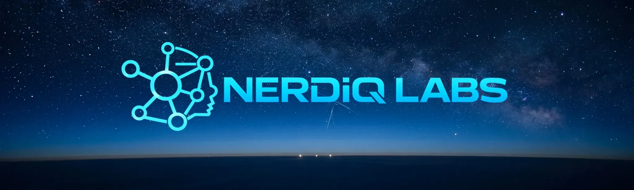 NERDiQ LABS