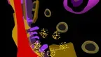 Geri Hahn Art MR screenshot 5