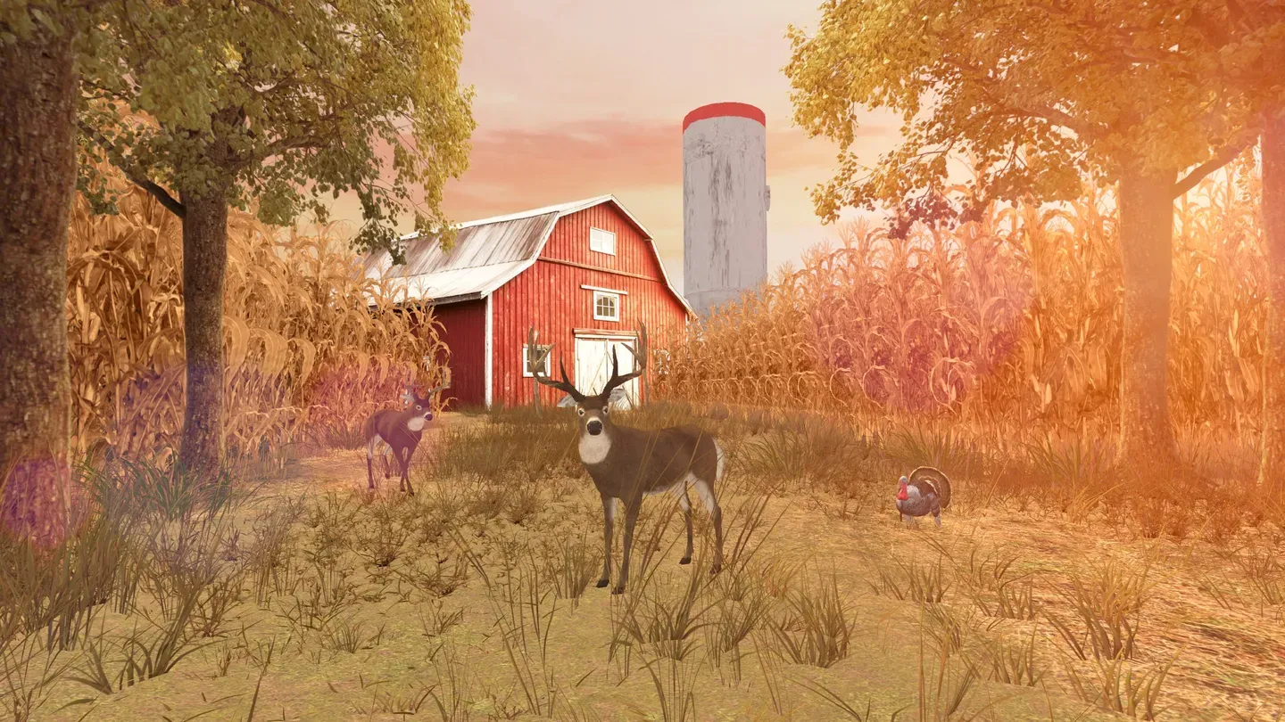 AccuBow VR cover image