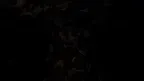 Freakz. screenshot 4