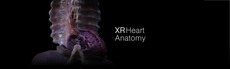 XR Heart Anatomy