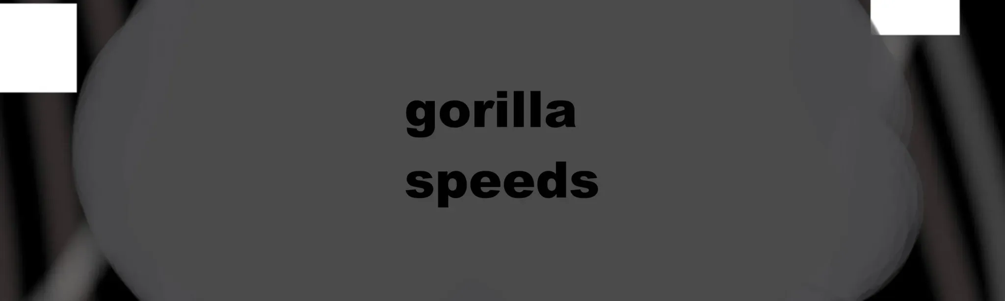 Gorilla Speeds