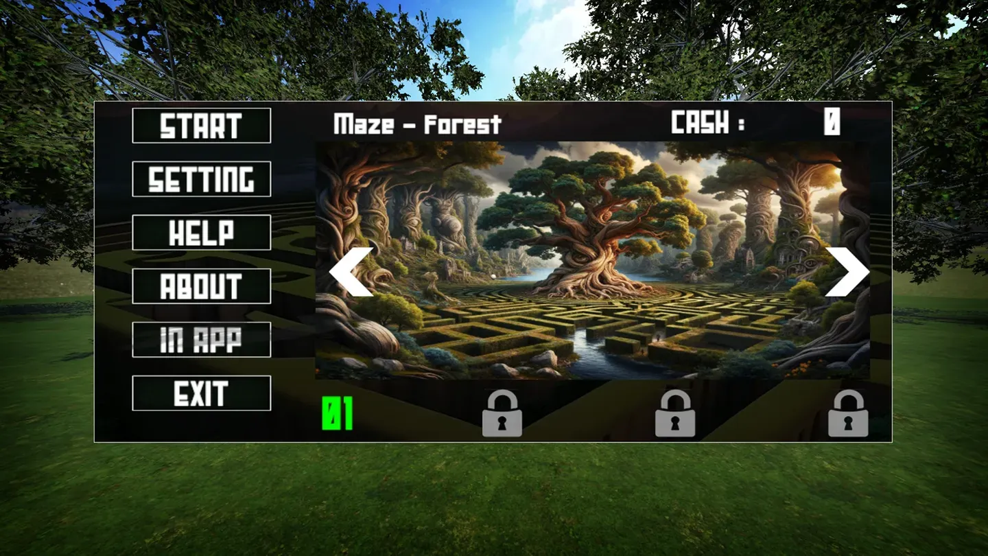 Maze Chase - Running & Walking Game cover image