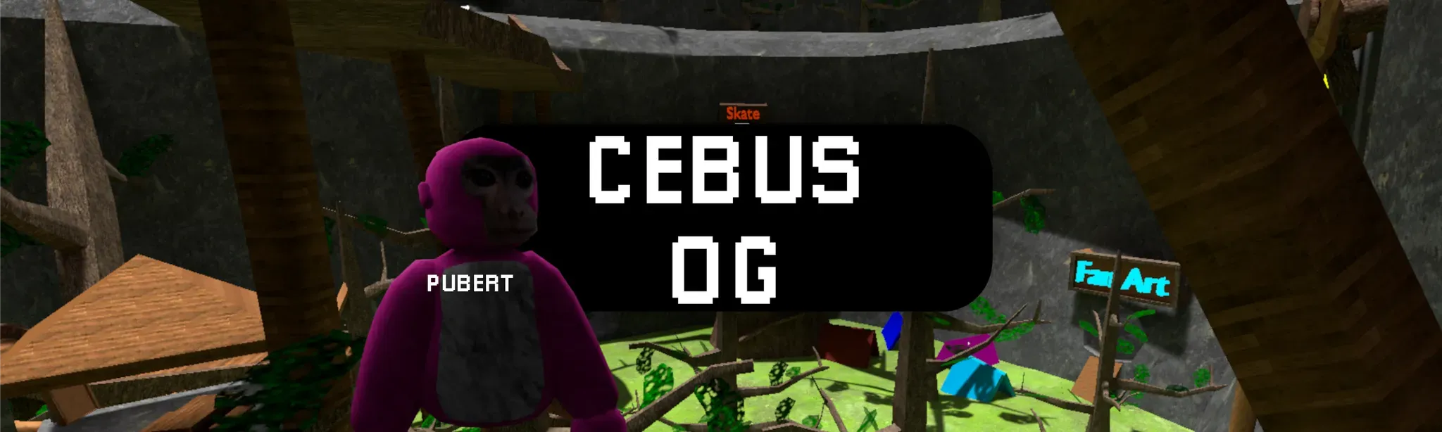 Cebus OG