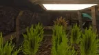 Marmoset Monkeys 2 screenshot 3