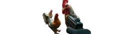 AR/XR Chicken Shooter hero image