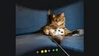 ScopeVR - Convert 2D to 3D Spatial AI screenshot 3