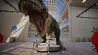 Vintage Dinosaur Museum screenshot 4