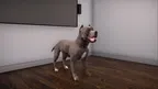 VBIDogExposure screenshot 1