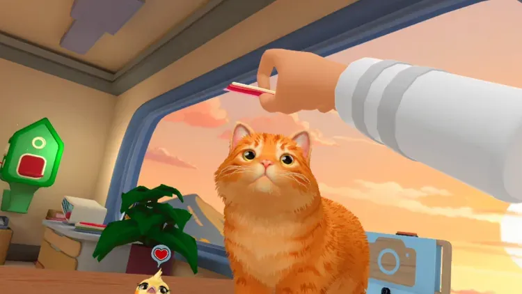 Developer update image for Cats can now be fed, and every pet has its own taste! 🥓🐱🐦