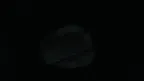 Primate Retrieval screenshot 4