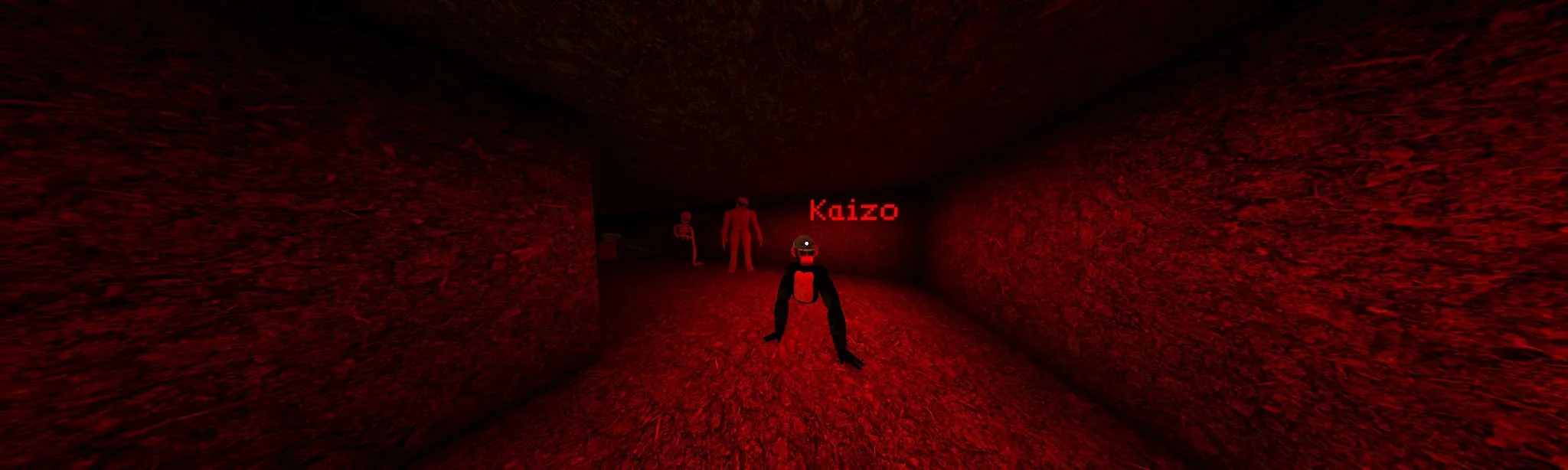 Kaizo
