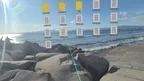 hondana　DEMO  -Virtual Bookshelf- screenshot 3
