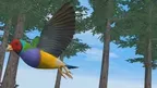 Relax With Bird screenshot 5