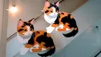 Stencil VR screenshot 2