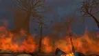 CALL OF SY screenshot 5