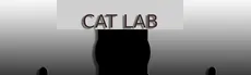 Cat Lab hero image