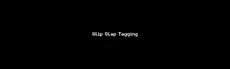 Slip Slap Tagging hero image