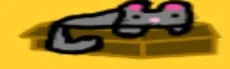 Catchaos hero image