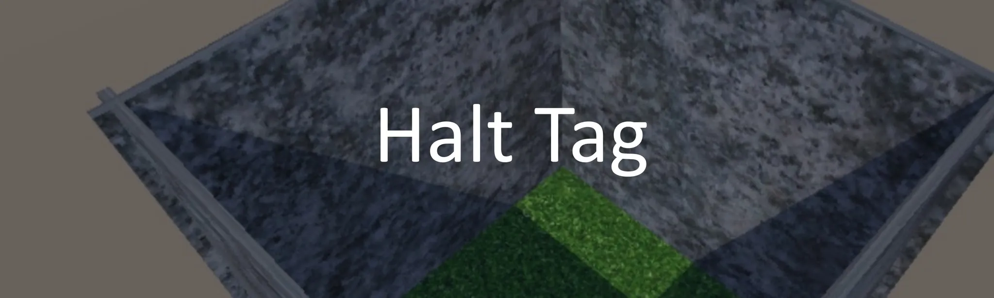 Halt Tag