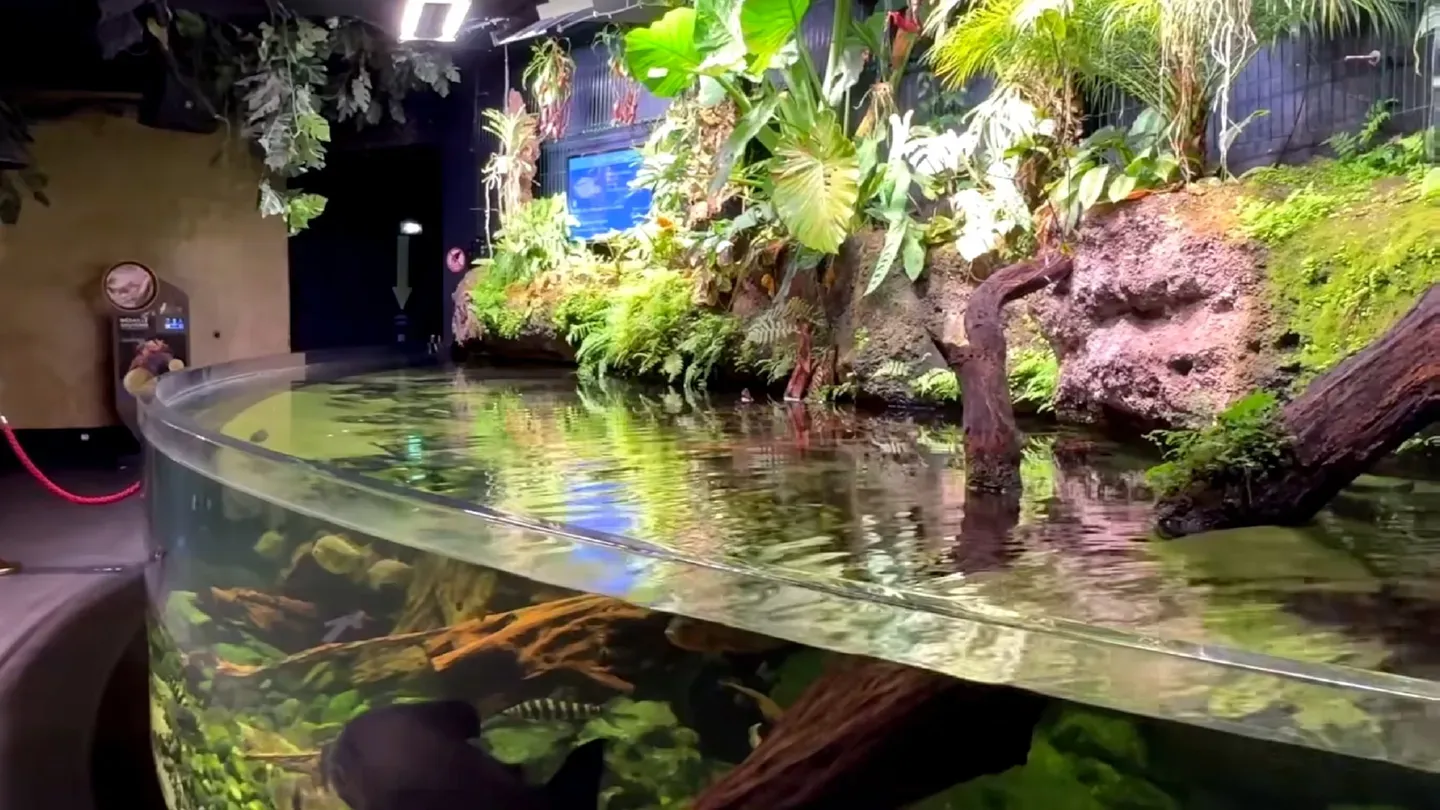 3D Aquarium Paris cover image