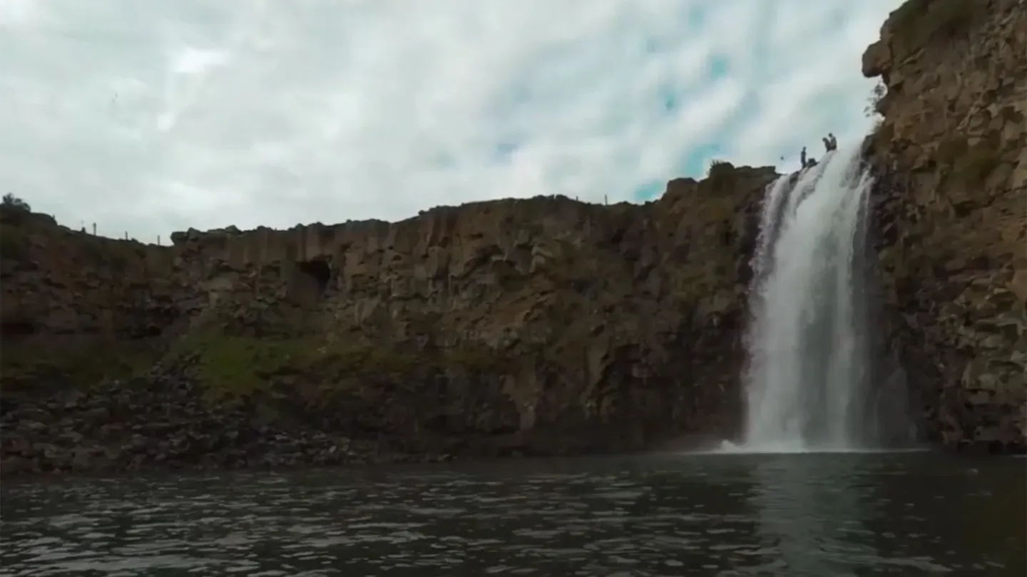 Mongolian Nature World Expo cover image