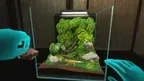 Vivarium screenshot 1
