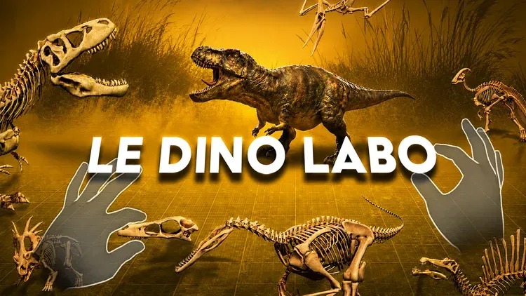 Developer update image for 🦖 LE DINO LABO – MAJOR SKINS UPDATE IS HERE!