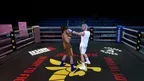 Golden Gloves screenshot 3