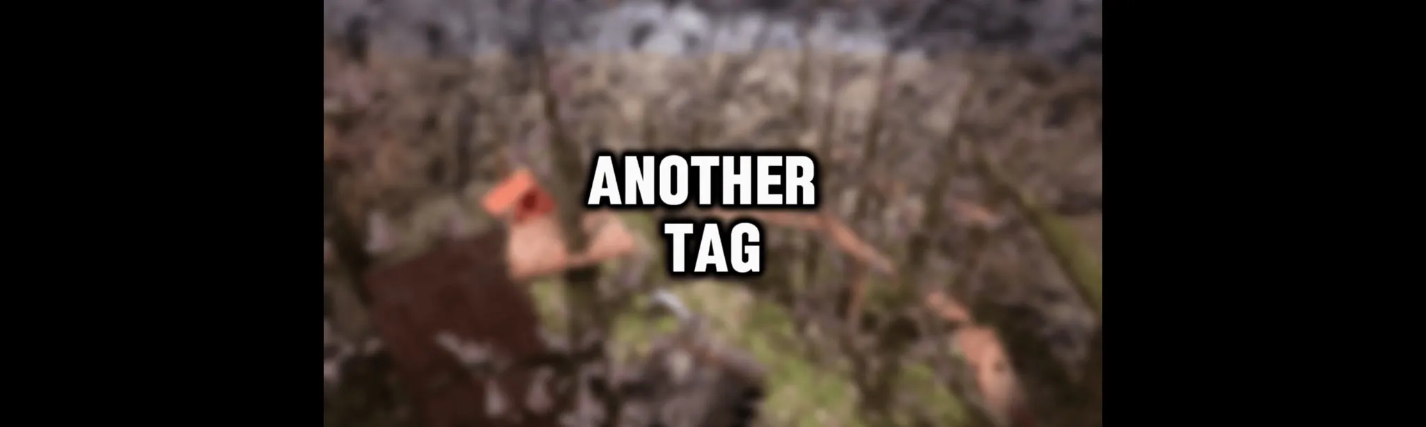 Another Tag