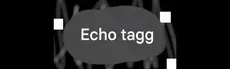 Echo Tagg hero image