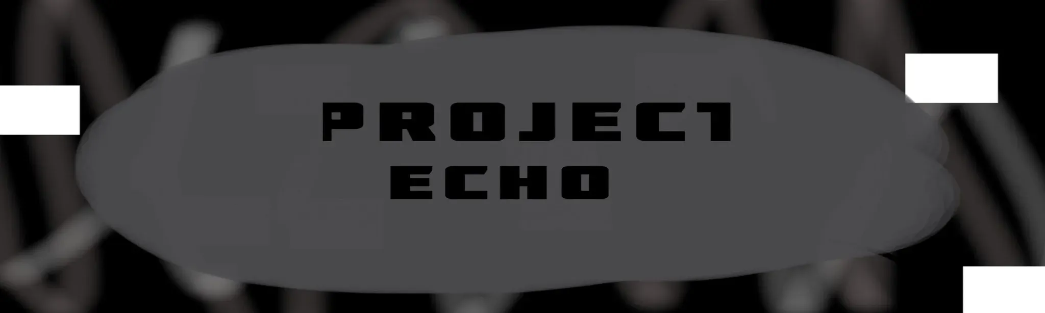 Project Echo