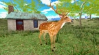 Hunting Simulator game VR screenshot 1