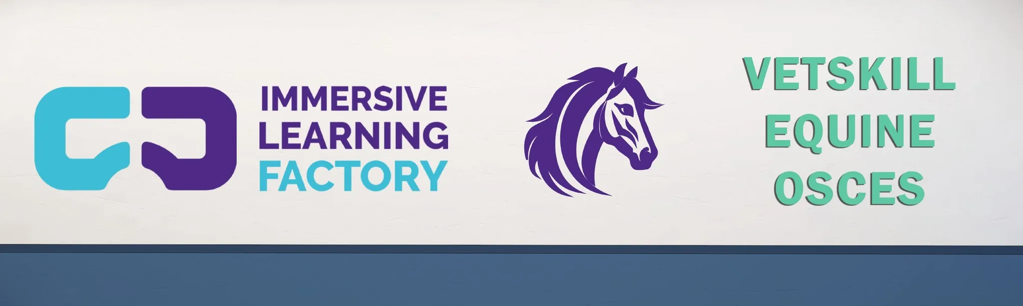 VetSkill Equine OSCE Practise Stations
