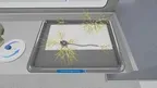Anatomy Learning Labs: Neural Lab screenshot 3