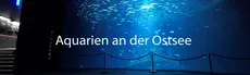 Aquariums on the Baltic Sea hero image