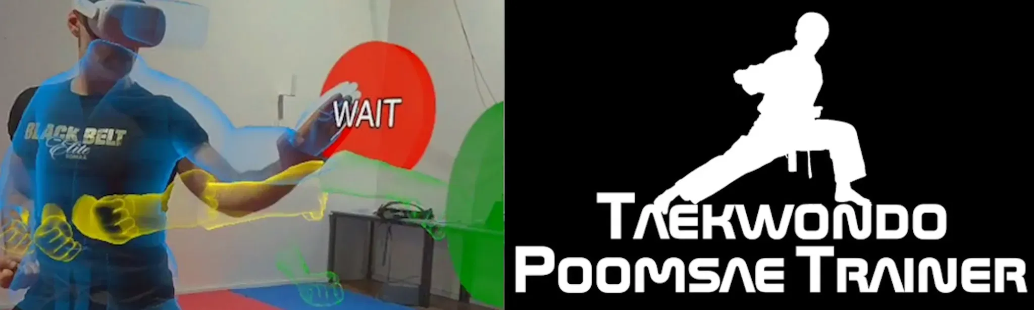 Taekwondo Poomsae Trainer