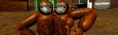 Fox Cavers hero image