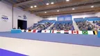 Air Pistol 10m: Olympic Training screenshot 2