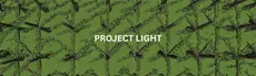 Project Light hero image