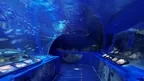 Walkable 360 Video screenshot 1