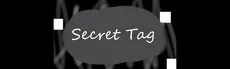 Secret Tag hero image
